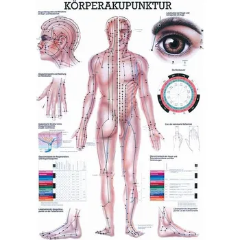 Rudiger Anatomie Akupunkturní body lidské tělo