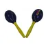 Maracas a shakery
