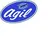 Agil