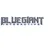 BlueGiant Interactive