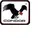 CONDOR