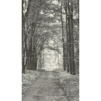 Obklad All in White 2 - obkládačka inzerto set 119,8x209,8 6002476