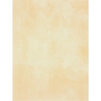 Obklad Patina - obkládačka 25x33 světle béžová WATKB230