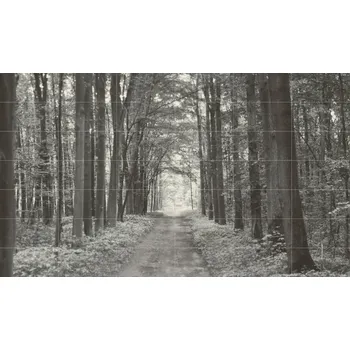 All in White 1 - obkládačka inzerto set 209,8x359,8 6002475