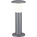 BigWhite Alpa Mushroom