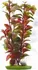 Dekorace do akvária Rostlina Red Ludwigia 30 cm 1 ks