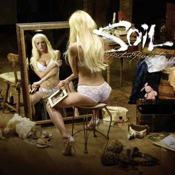 Zahraniční hudba Picture Perfect - Soil [CD]