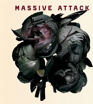 Zahraniční hudba Collected - Massive Attack [CD]