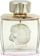 Lalique Pour Homme Equus EDP 75ml M