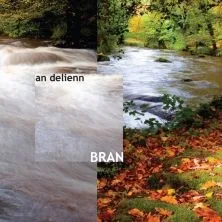 Zahraniční hudba An Delienn - Bran [CD]