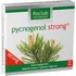 Přírodní produkt Finclub Pycnogenol Strong 60 tbl.