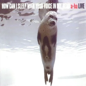 Zahraniční hudba How Can I Sleep With Your Voice In My Head - A-ha [2CD]