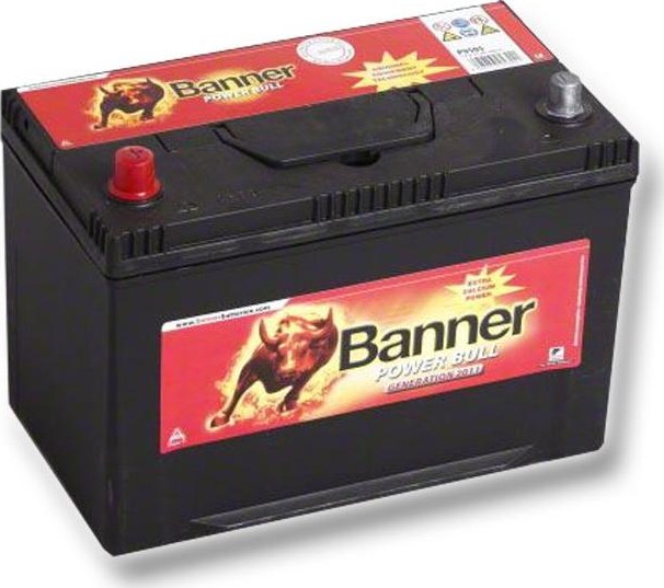 Batterie Auto Banner P9533 12V 95Ah 780A