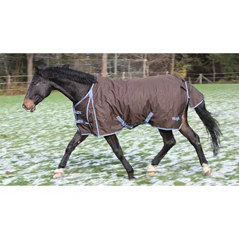 RugBe IceProtect