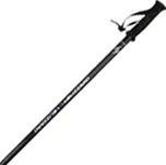 Blizzard Ski Poles