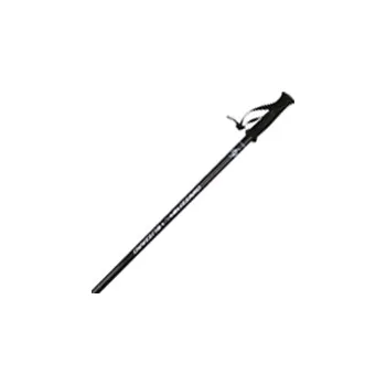Sjezdová hůlka Blizzard Ski Poles
