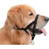 Obojek pro psa The Company of Animals Halti ohlávka nylonová