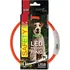Obojek pro psa Dog Fantasy LED světelný obojek z nylonu S/M