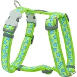 Red Dingo Stars Turquoise on Lime…