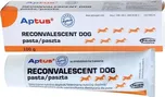 Orion Pharma Aptus Reconvalescent Dog…