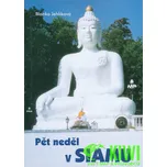 Pět neděl v Siamu - Blanka Jehlíková