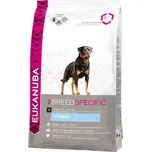 Eukanuba Rottweiler