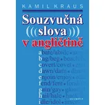 Souzvučná slova v angličtině - Kamil…