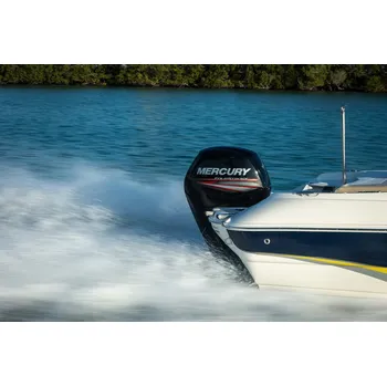 Lodní motor Lodní motor Mercury F 115 ELPT EFI