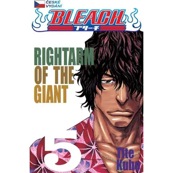 Komiks pro dospělé Bleach 5 - Tite Kubo
