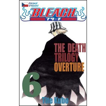 Komiks pro dospělé Bleach 6 - Tite Kubo
