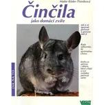 Činčila jako domácí zvíře - Maiki…