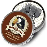 Pexoesa Safari zvířátka